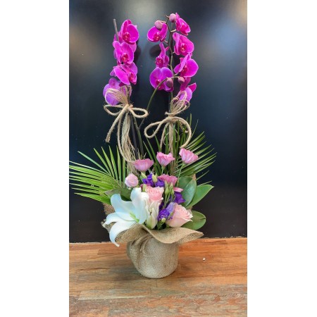 IMPORTED PURPLE ORCHID ARRANGEMENT